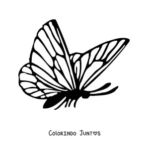 Desenho para colorir de uma borboleta de perfil
