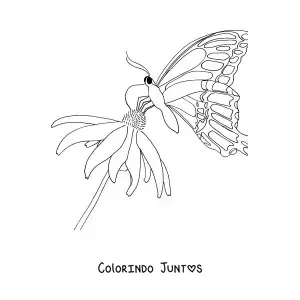 Desenho para colorir de uma borboleta pousada sobre uma flor
