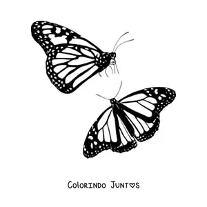 Desenho para colorir de duas borboletas-monarca voando
