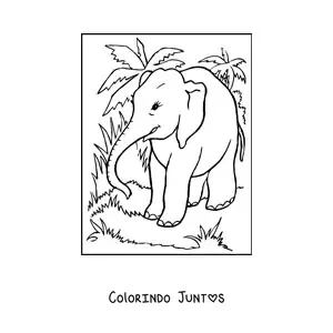Desenho para colorir de um elefante perambulando na selva