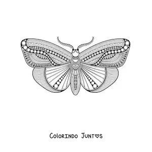 Desenho para colorir de uma mandala de borboleta