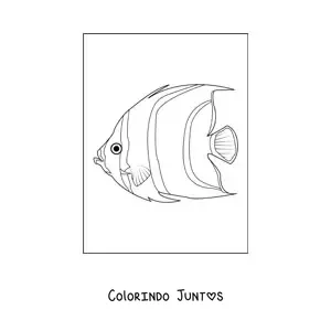 Desenho para colorir de um peixe-anjo realista