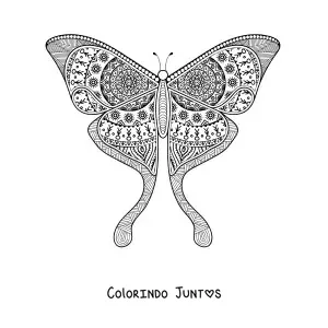 Desenho para colorir de uma mandala em forma de borboleta