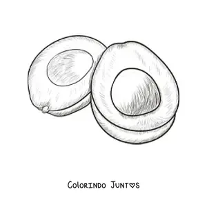 Desenho para colorir de um abacate desenhado em estilo realista