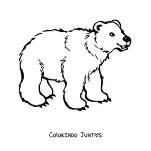 Desenho para colorir de um urso animado sorridente em quatro patas