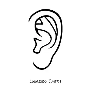 Desenho para colorir da orelha humana
