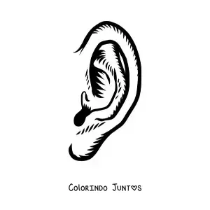 Desenho para colorir de uma orelha humana