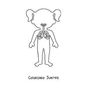 Desenho para colorir da localizacao dos pulmoes na silhueta de uma menina