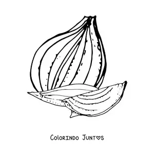 Desenho para colorir de pedacos de cebola
