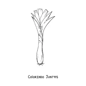 Desenho para colorir de uma cebola comprida ou cebolinha