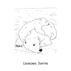 Desenho para colorir de uns ursos-polares realistas