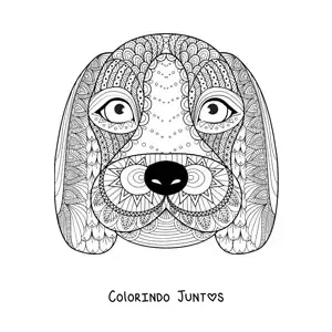 Desenho para colorir de uma mandala do rosto de um cachorro