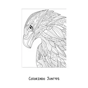 Desenho para colorir de uma mandala de falcao