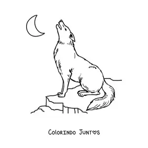 Desenho para colorir de um lobo uivando para a lua sentado sobre uma rocha