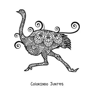 Desenho para colorir de uma mandala de avestruz