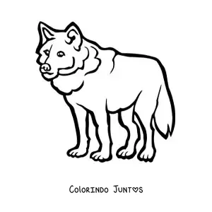 Desenho para colorir de um lobo