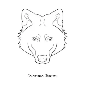Desenho para colorir de uma cabeca de lobo selvagem
