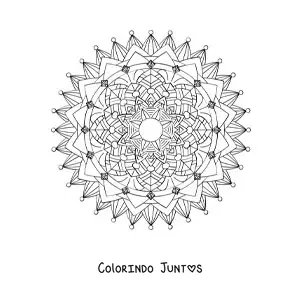 Desenho para colorir de uma mandala dificil da natureza
