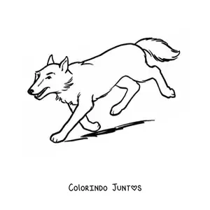 Desenho para colorir de um lobo correndo para baixo por uma ladeira
