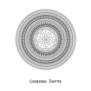 Desenho para colorir de uma mandala circular difícil