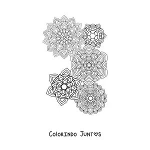 Desenho para colorir de mandalas estilo Zentangle
