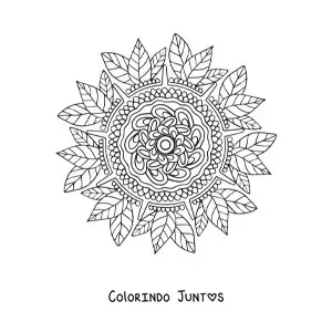 Desenho para colorir de uma mandala floral