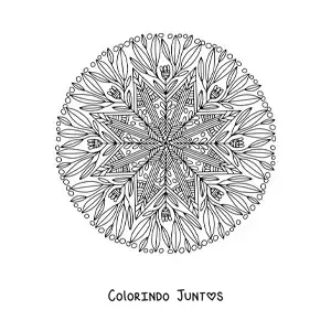 Desenho para colorir de uma mandala abstrata