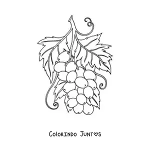 Desenho para colorir de um cacho de uvas com folhas