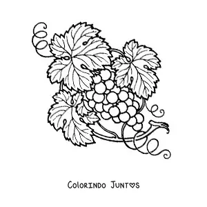 Desenho para colorir de umas uvas na videira