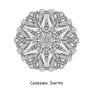 Desenho para colorir de mandala de aves para crianças