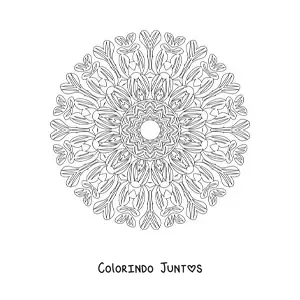 Desenho para colorir de mandala para adultos
