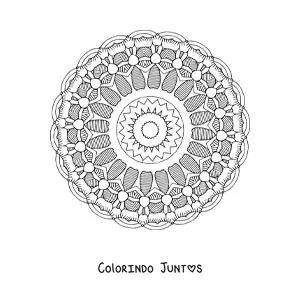 Desenho para colorir de mandala para adultos