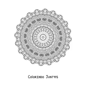 Desenho para colorir de mandala difícil para adultos