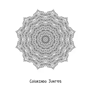 Desenho para colorir de mandala difícil para adultos