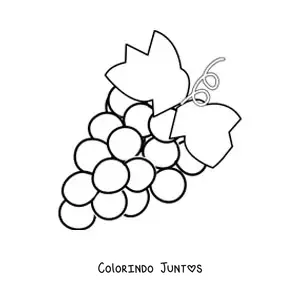 Desenho para colorir de um cacho de uvas com duas folhas