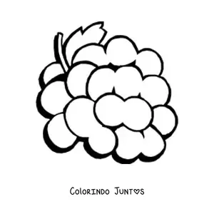 Desenho para colorir de um cacho de uvas