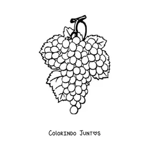 Desenho para colorir de um cacho de uvas com três folhas