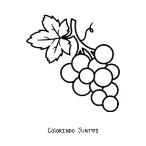 Desenho para colorir de um cacho de uvas pequeno com uma folha grande