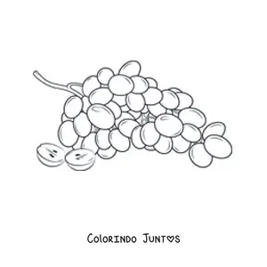 Desenho para colorir de um cacho de uvas com uma uva cortada