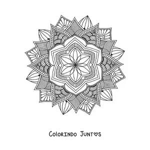 Desenho para colorir de mandala budista para adultos
