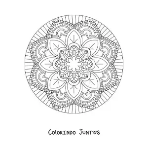 Desenho para colorir de mandala circular fácil com flores