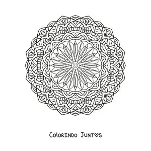 Desenho para colorir de mandala circular com flores