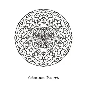 Desenho para colorir de mandala circular para adultos
