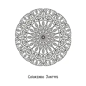 Desenho para colorir de mandala circular para adultos