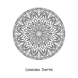 Desenho para colorir de mandala circular abstrata
