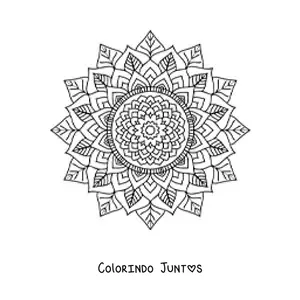 Desenho para colorir de mandala indiana estilo Zentangle