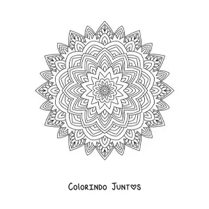 Desenho para colorir de mandala indiana estilo Zentangle
