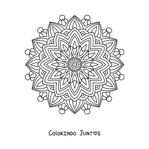 Desenho para colorir de mandala hindu para adultos