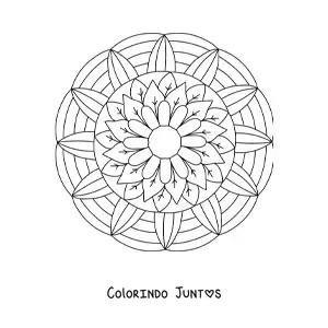 Desenho para colorir de mandala de flores e folhas
