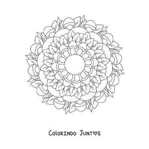 Desenho para colorir de mandala de flores e folhas